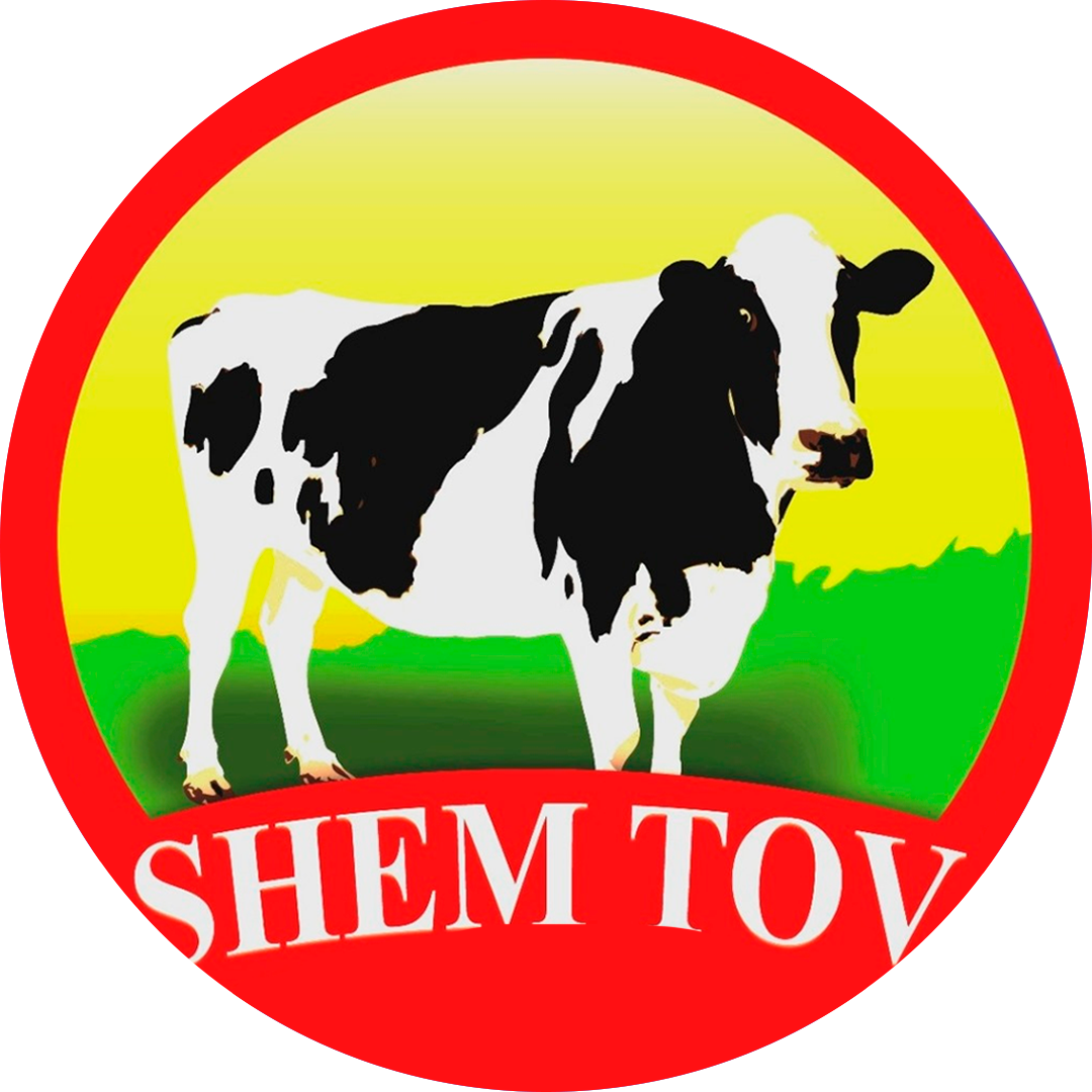 Shem Tov Logo